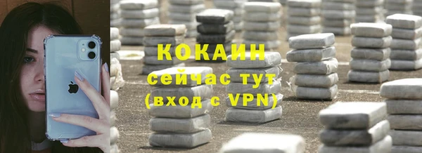 МДПВ Дмитриев