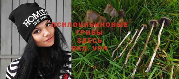 бутират Дмитровск