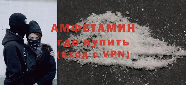 спиды Ельня