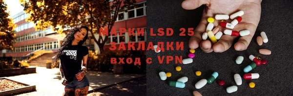спиды Ельня