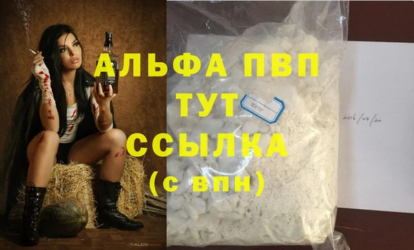 МДПВ Дмитриев