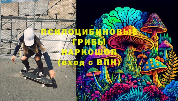 МДПВ Дмитриев
