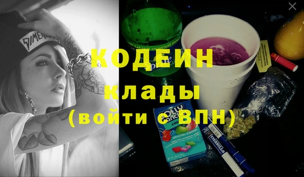 МДПВ Дмитриев
